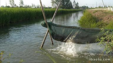 夏天水稻田野浇水灌溉滋润
